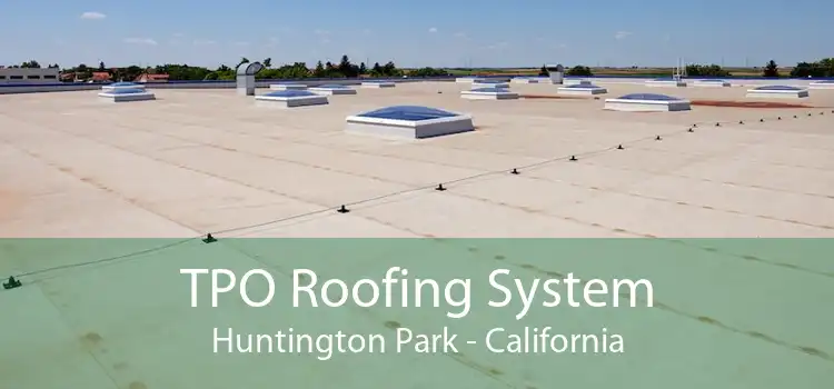 TPO Roofing System Huntington Park - California