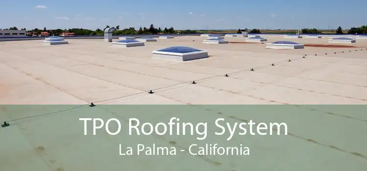 TPO Roofing System La Palma - California