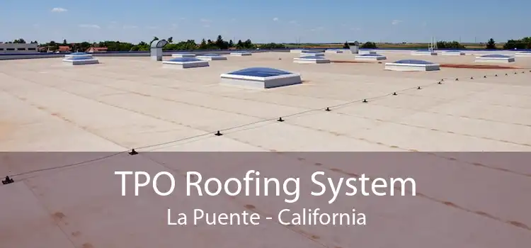 TPO Roofing System La Puente - California