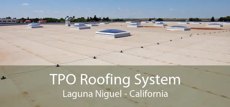 TPO Roofing System Laguna Niguel - California