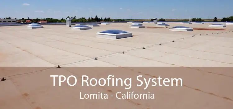 TPO Roofing System Lomita - California