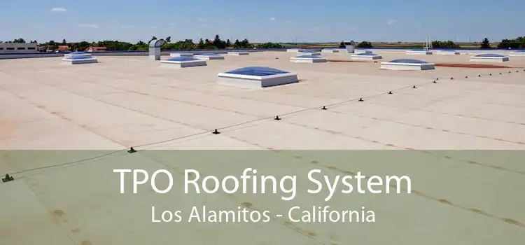 TPO Roofing System Los Alamitos - California