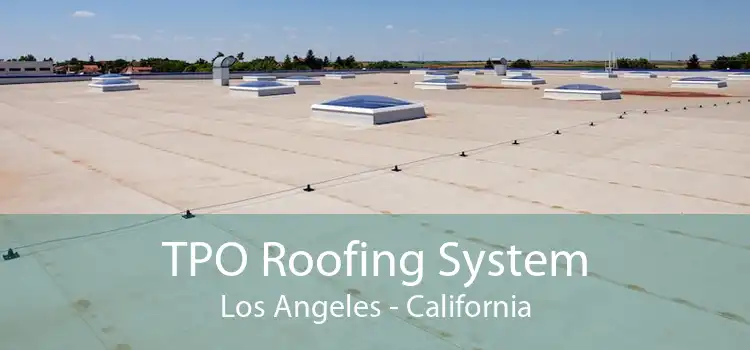 TPO Roofing System Los Angeles - California