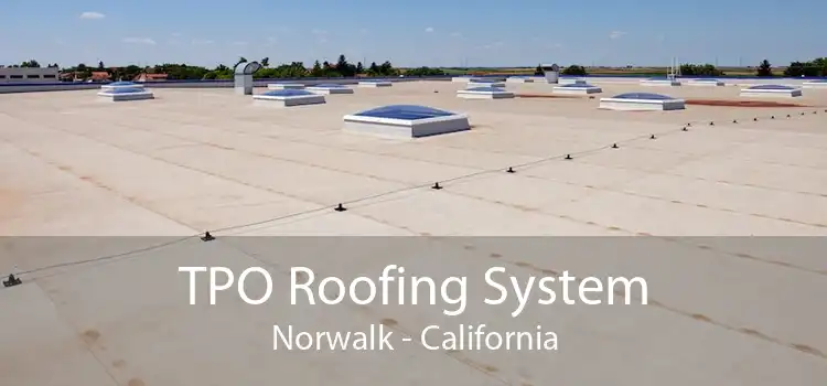 TPO Roofing System Norwalk - California