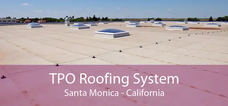 TPO Roofing System Santa Monica - California