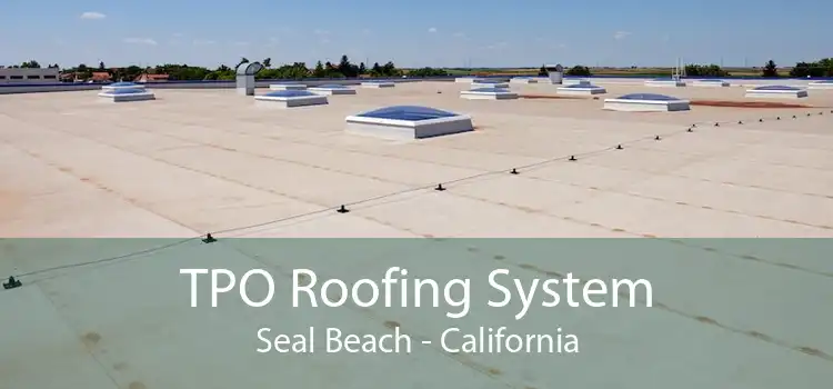 TPO Roofing System Seal Beach - California