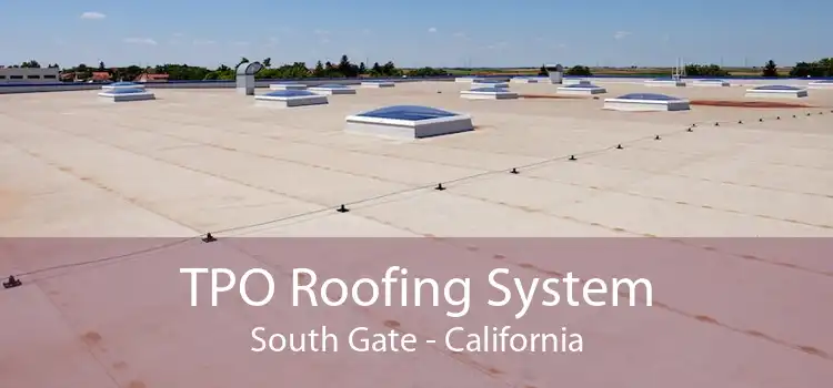 TPO Roofing System South Gate - California