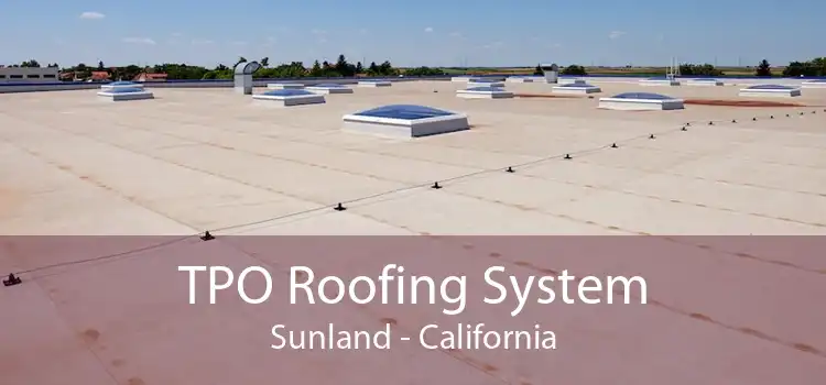 TPO Roofing System Sunland - California