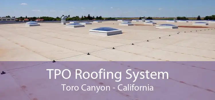 TPO Roofing System Toro Canyon - California