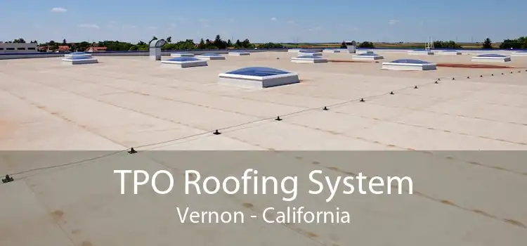 TPO Roofing System Vernon - California