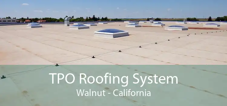 TPO Roofing System Walnut - California