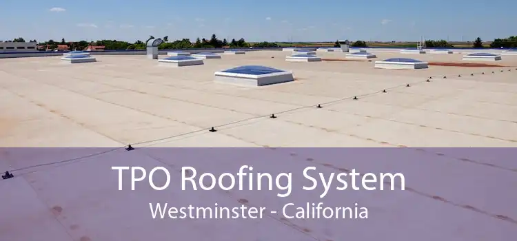 TPO Roofing System Westminster - California