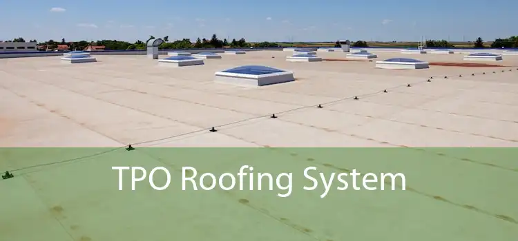 TPO Roofing System 